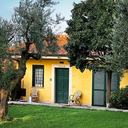 La Vista Agriturismo Boutique Ariccia Buitenkant foto